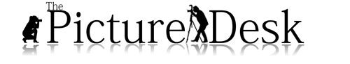 The Picture Desk Sydney Photographer